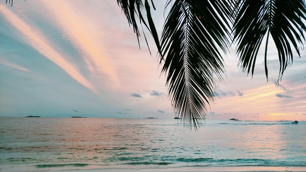 Où découvrir les traditions artisanales en Turquie sans guide?